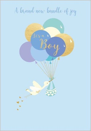 Baby Boy Special Delivery Card