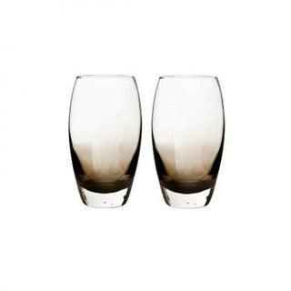 Contemporary Smoked Grey Large Tumbler (Box of 2)