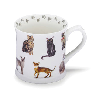 Curious Cats Tankard Mug