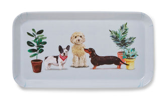 Curious Dogs Small Tray