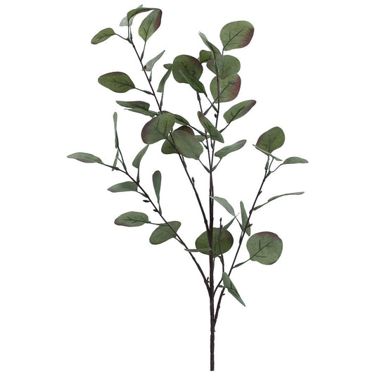 Tinged Green Eucalyptus Branche 88cm