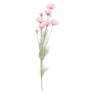 Pale Pink Cosmos Spray 91cm