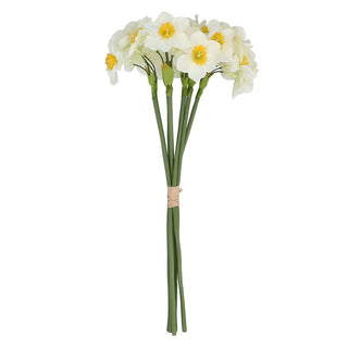 White Narcissus Tied Bunch