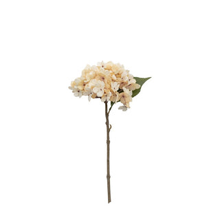 Cream Woodland Hydrangea Stem