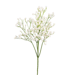 Gypsophila Spray