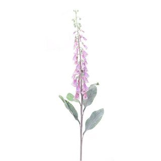 Foxglove Stem Lavendar