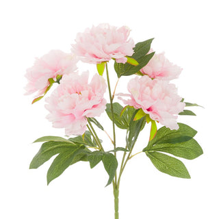 Peony Bush Pink Spray