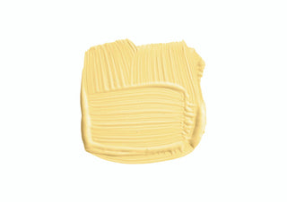 100ml Sample Pot Citron No. 74