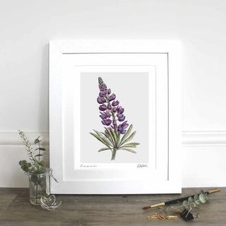 Lupin 10×12? Mounted Fine Art Print