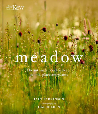 Meadow (Kew)