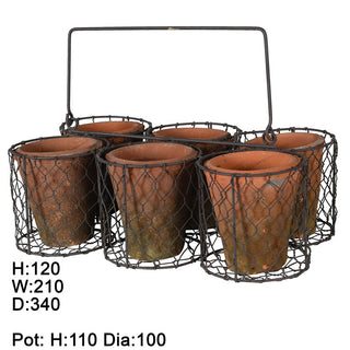 Small Pots In Basket Caddy