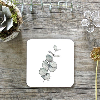 Eucalyptus Coaster Pack of 4