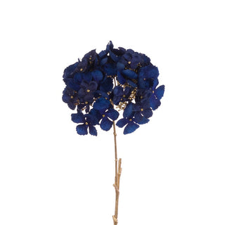 Hydrangea Stem Blue