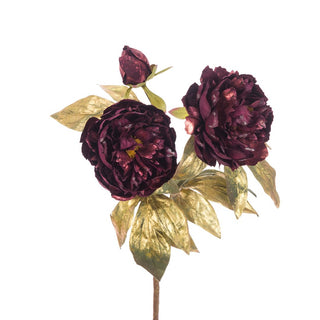 Peony Gilded Spray Aubergine