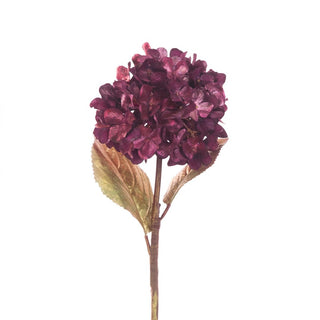 Hydrangea Gilded Stem Maroon