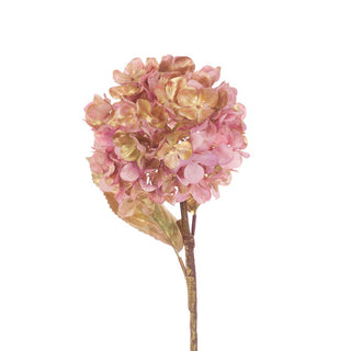 Hydrangea Gilded Stem Pink