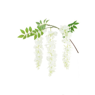 Wisteria Spray White