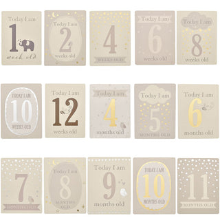 Little Star Baby Milestone Cards