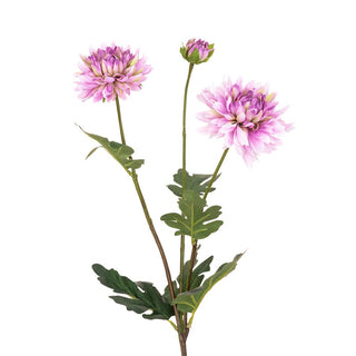 Triple Head Chrysanthemum Stem