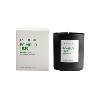 Pomelo 1830 Candle